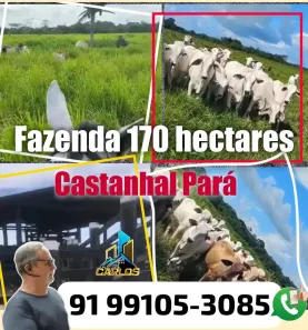 Fazenda/Sítio com 3 Quartos à venda, 1700000m² no Ianetama, Castanhal