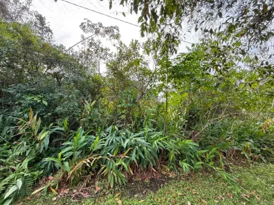 Lote/Terreno à venda, 1107m² no Gaivota (Interior), Itanhaém