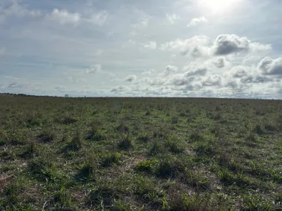 com 3 Quartos à venda, 400m² no , Tesouro
