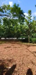 Fazenda/Sítio à venda, 1348m² no Conjunto Habitacional Jamile Dequech, Londrina