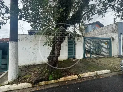 Casa com 3 Quartos para alugar, 156m² no Vila Santo Antônio, São Paulo