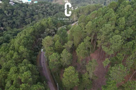 Lote/Terreno à venda, 1780m² no Loteamento Veu da Noiva, Campos do Jordão