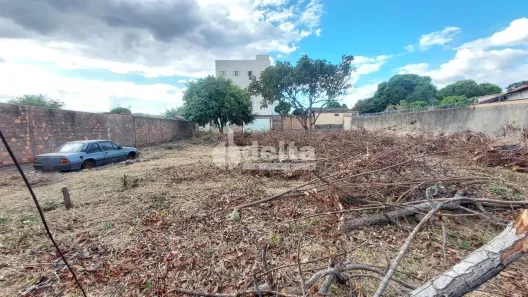 Lote/Terreno à venda, 1040m² no Presidente Roosevelt, Uberlândia