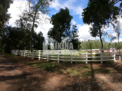 Lote/Terreno para alugar, 4000m² no Colônia Dona Luíza, Ponta Grossa