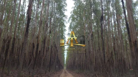 Fazenda/Sítio com 1 Quarto à venda, 200m² no , Brasilândia de Minas