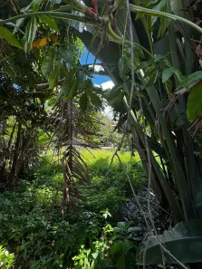 Lote/Terreno à venda, 454m² no Camburi, São Sebastião