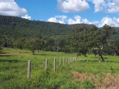 Fazenda/Sítio à venda, 10000m² no Área Rural de Palmas, Palmas