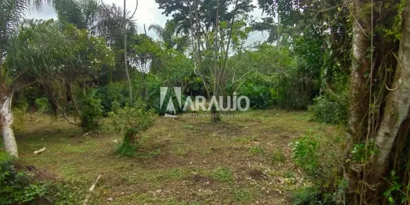 Lote/Terreno à venda, 10m² no Morro das Pedras, Florianópolis