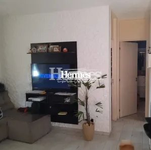 Apartamento com 2 Quartos à venda, 43m² no Parque Yolanda (Nova Veneza), Sumaré