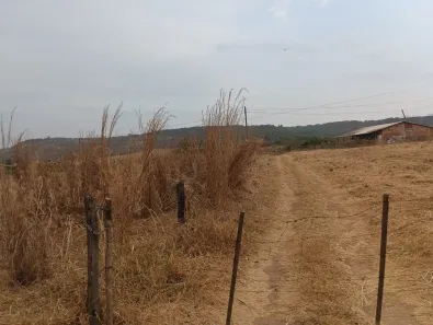 Fazenda/Sítio à venda, 5000m² no Ponte Alta Norte, Brasília