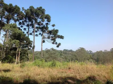 Lote/Terreno à venda, 2072m² no Jardim Santa Paula, Cotia