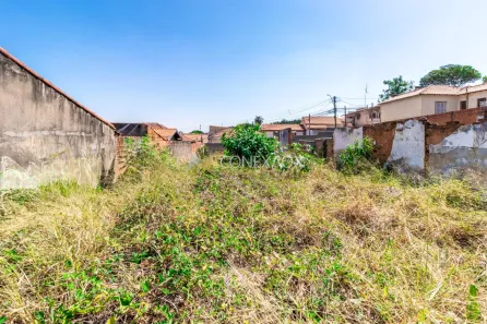 Lote/Terreno à venda, 468m² no Vila Marieta, Campinas