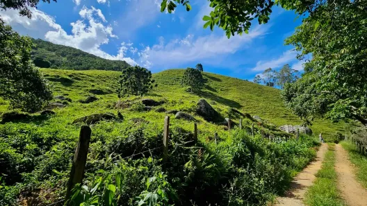 Fazenda/Sítio à venda, 133000m² no , Sapucaí-Mirim