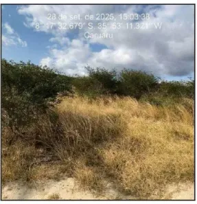 Lote/Terreno à venda, 450m² no Cachoeira Seca, Caruaru