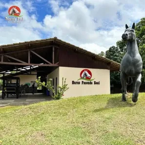 Lote/Terreno à venda, 525m² no Fazenda Real, Simões Filho