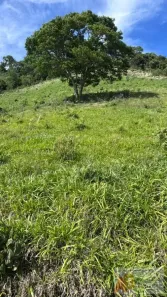 Fazenda/Sítio com 3 Quartos à venda, 4520000m² no , Reserva