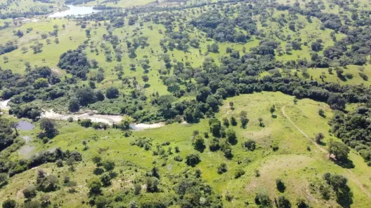 Fazenda/Sítio com 1 Quarto à venda, 75m² no Goiás, Goiás