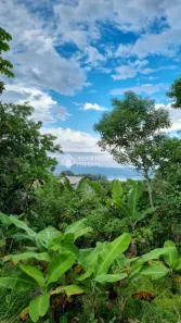Lote/Terreno à venda, 3051m² no , Garopaba