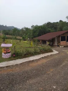 Fazenda/Sítio com 2 Quartos à venda, 150m² no Fazenda São Borja, São Leopoldo