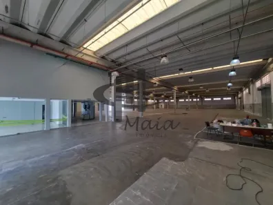 Galpão/Depósito/Armazém para alugar, 3968m² no Parque Boa Esperança, São Paulo