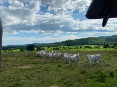 Fazenda/Sítio com 8 Quartos à venda, 214m² no , Iporá