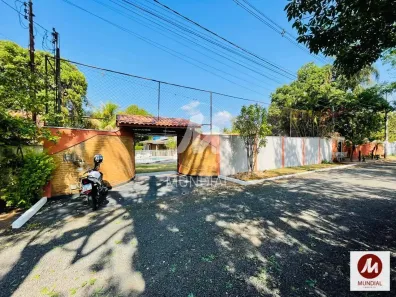 Fazenda/Sítio com 5 Quartos à venda, 384m² no Conjunto Habitacional Jardim das Palmeiras, Ribeirão Preto