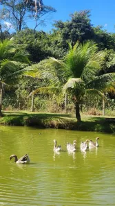 Fazenda/Sítio com 3 Quartos à venda, 48400m² no Residencial Triunfo II Etapa, Goianira
