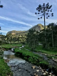 Lote/Terreno à venda, 78000m² no , Urubici