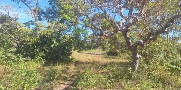 Lote/Terreno à venda, 5000m² no Chapada dos Guimarães, Chapada dos Guimarães