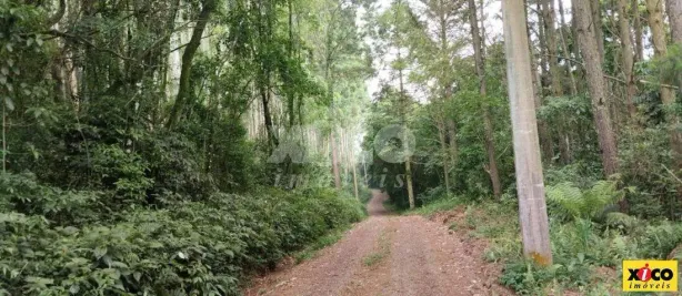 Fazenda/Sítio com 1 Quarto à venda, 5000m² no , Nova Petrópolis
