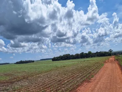 Fazenda/Sítio com 1 Quarto à venda, 215m² no , Campo Novo do Parecis