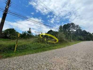 Lote/Terreno à venda, 4973m² no Paisagem Renoir, Cotia