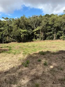 Fazenda/Sítio à venda, 22000m² no , Santa Maria de Jetibá