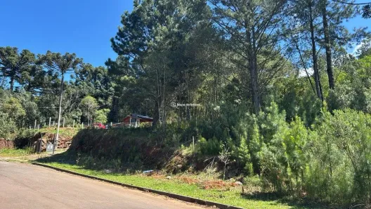Lote/Terreno à venda, 450m² no Dutra, Gramado