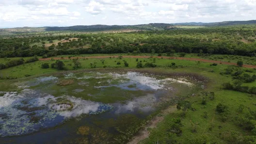 Fazenda/Sítio à venda, 20000m² no , Cordisburgo