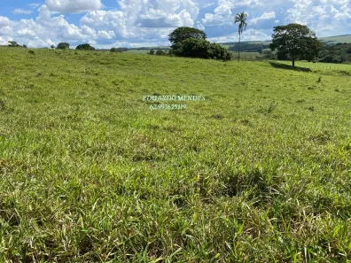 Fazenda/Sítio à venda, 70000m² no , Gameleira de Goiás