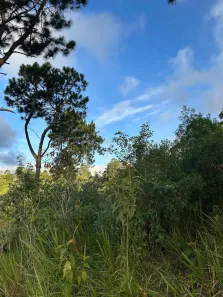Lote/Terreno à venda, 8500m² no Jardim Suíça Paulista, São Roque