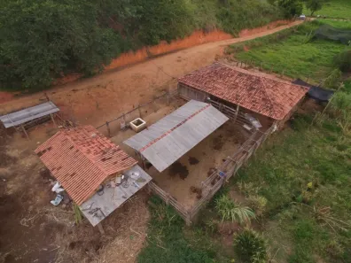 Lote/Terreno à venda, 298000m² no , Peçanha