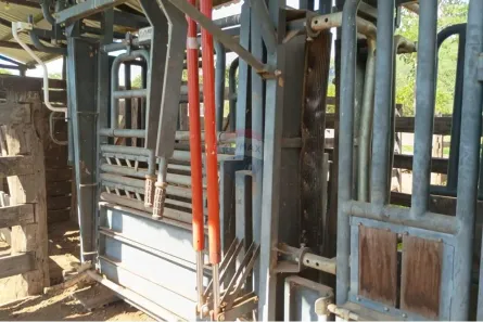 Fazenda/Sítio com 3 Quartos à venda, 840000m² no , Alvorada do Norte