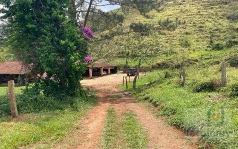 Fazenda/Sítio com 6 Quartos à venda, 680m² no Pedrinha, Guaratinguetá