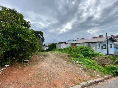 Lote/Terreno à venda, 426m² no Jardim Atlântico, Florianópolis