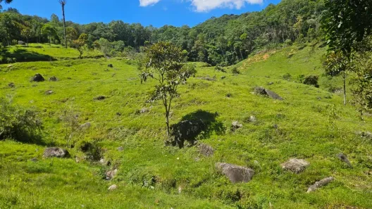 Fazenda/Sítio à venda, 20000m² no , Águas Mornas