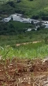 Fazenda/Sítio com 5 Quartos à venda, 1600000m² no , Cortês