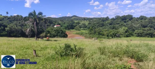 Fazenda/Sítio com 2 Quartos à venda, 5m² no Setor Central, Cezarina
