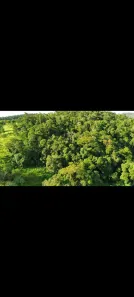 Fazenda/Sítio à venda, 24200m² no , Piracaia