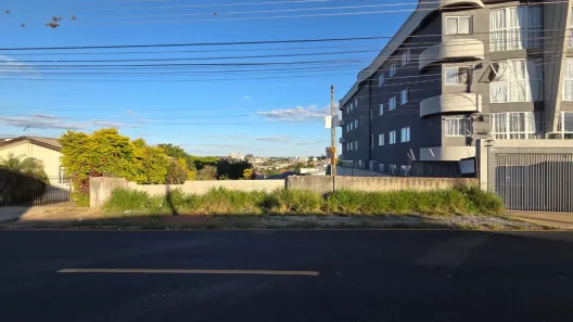 Lote/Terreno à venda, 495m² no Jardim Carvalho, Ponta Grossa