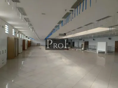 Galpão/Depósito/Armazém para alugar, 3000m² no Cidade Ademar, São Paulo