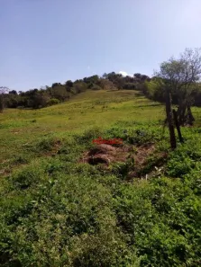 Lote/Terreno à venda, 24200m² no Pinheiro, Ibiporã