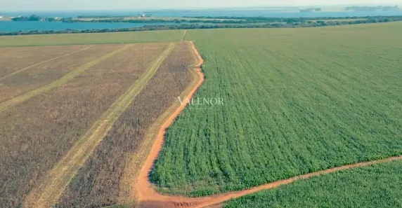 Fazenda/Sítio com 6 Quartos à venda, 10m² no Sertaneja, Sertaneja