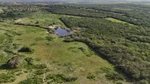 Fazenda/Sítio com 3 Quartos à venda, 2500000m² no Poço de Pedra, São Gonçalo do Amarante